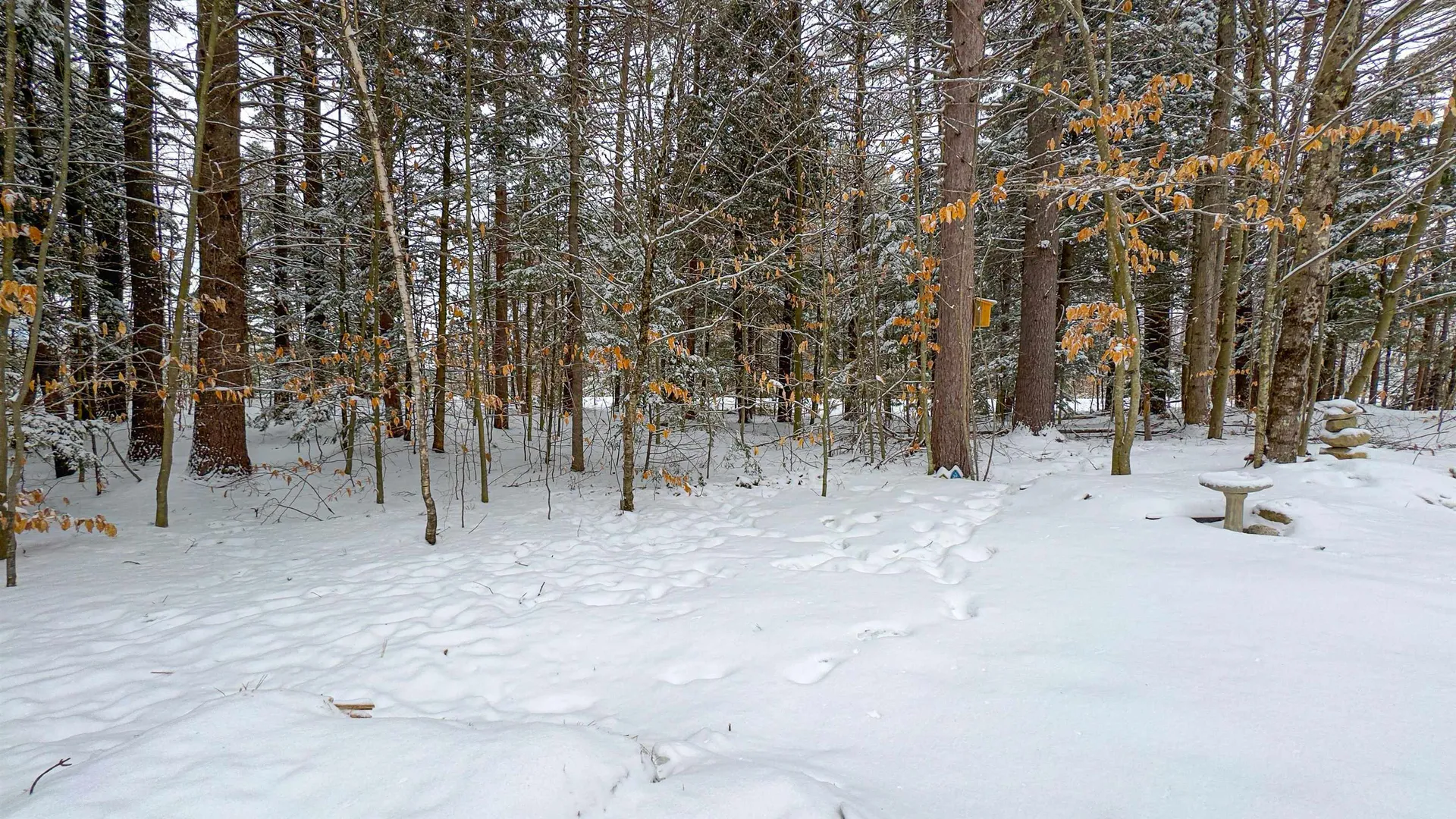 575 Allard Hill Road Madison NH 03849