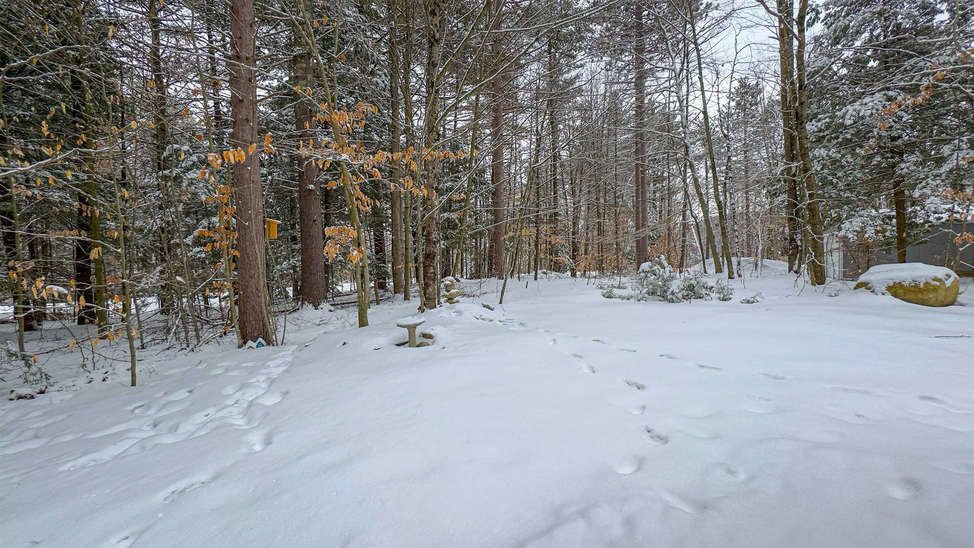 575 Allard Hill Road Madison NH 03849