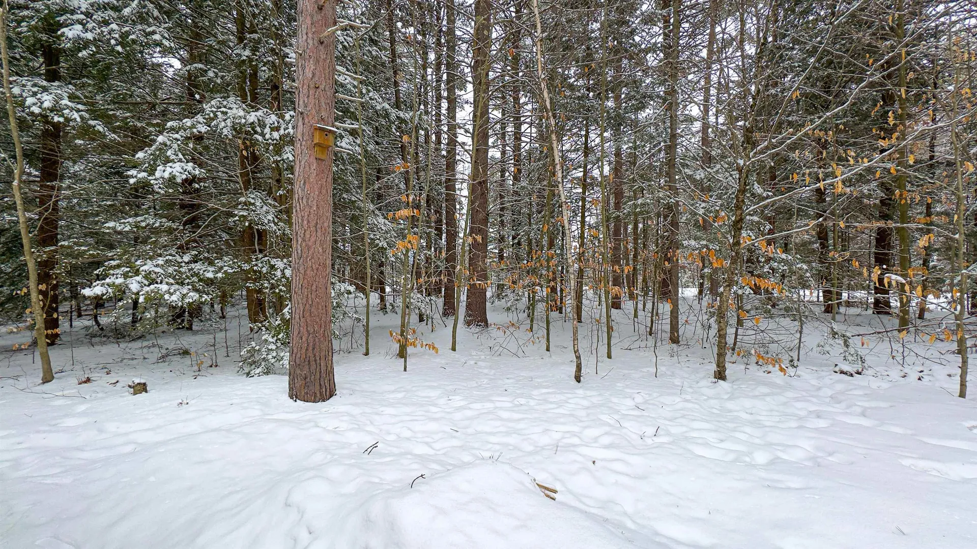 575 Allard Hill Road Madison NH 03849