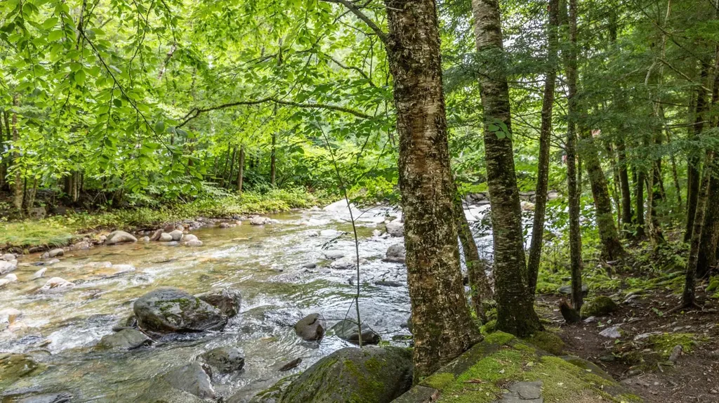 56 Turner Mill Lane Stowe VT 05672