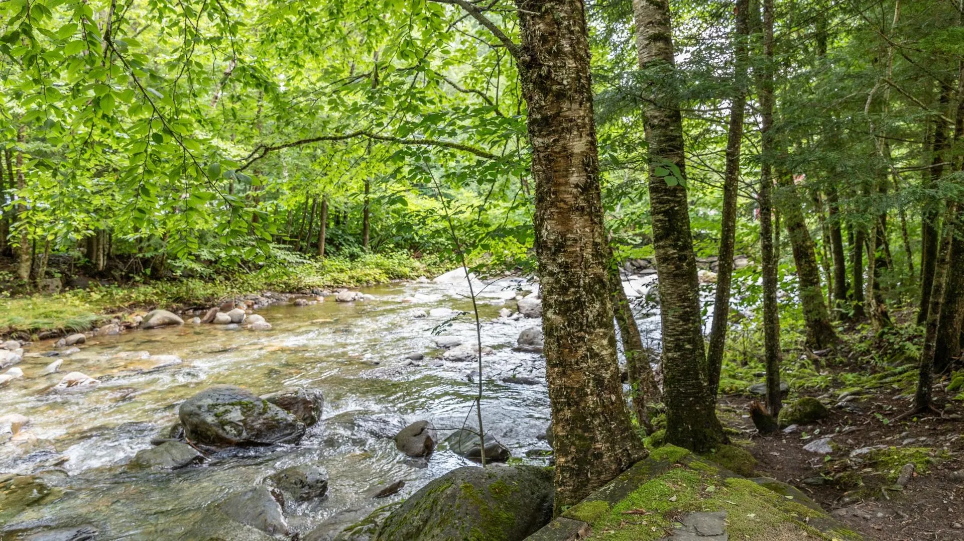 56 Turner Mill Lane Stowe VT 05672