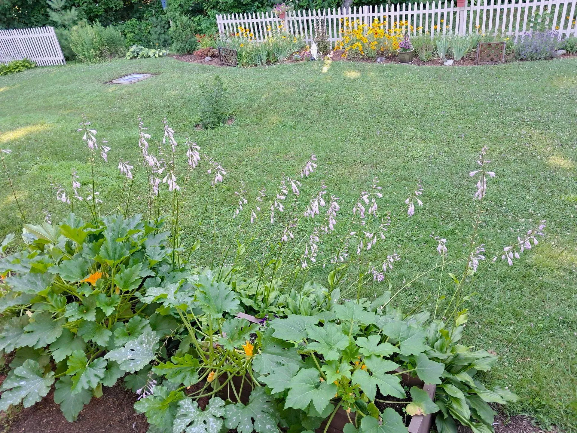 92 Pine Street Newport City VT 05855