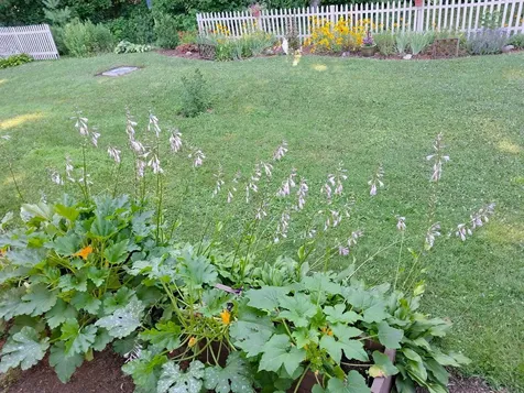 92 Pine Street Newport City VT 05855