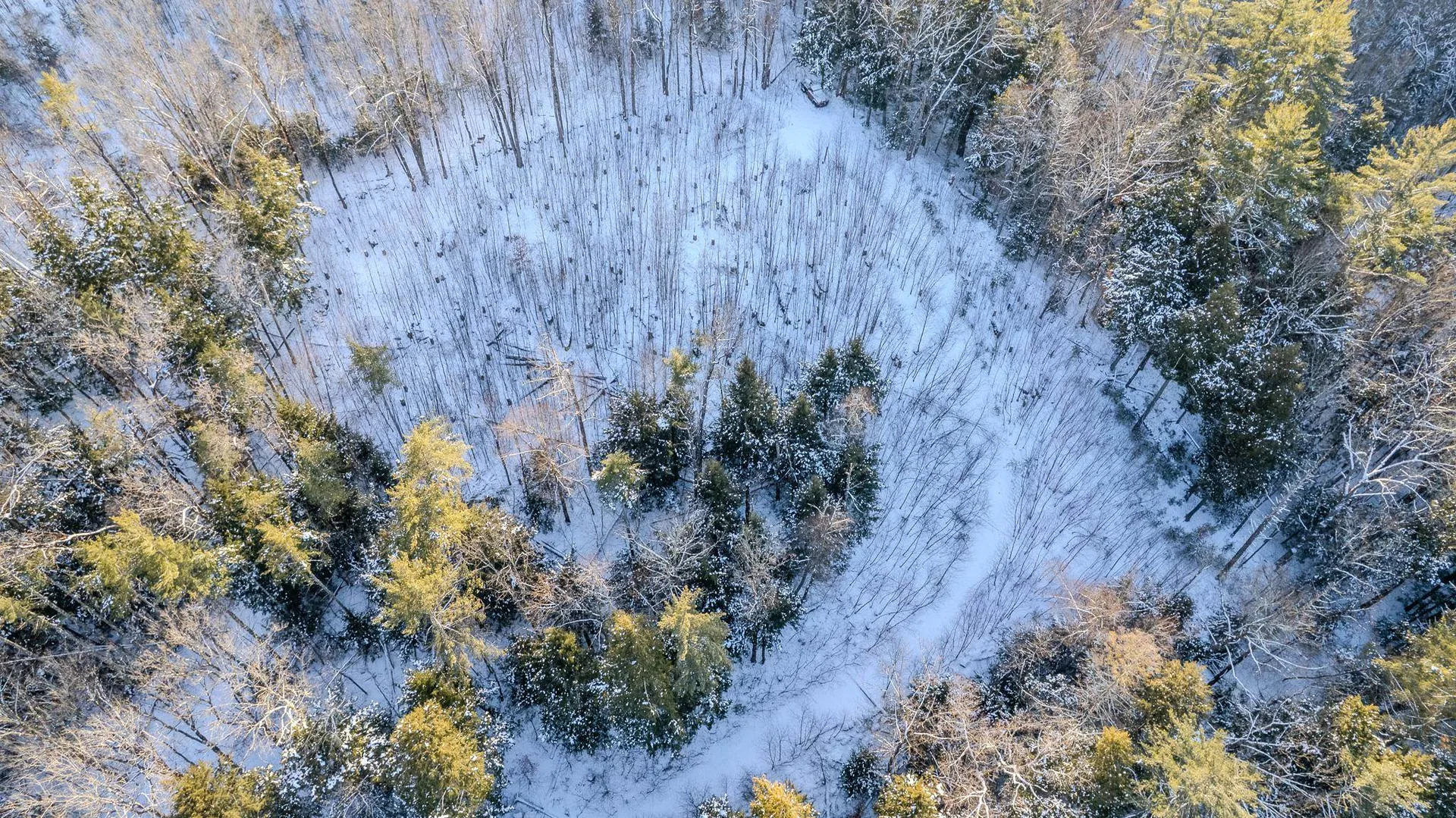 00 Route 123 Alstead NH 03602