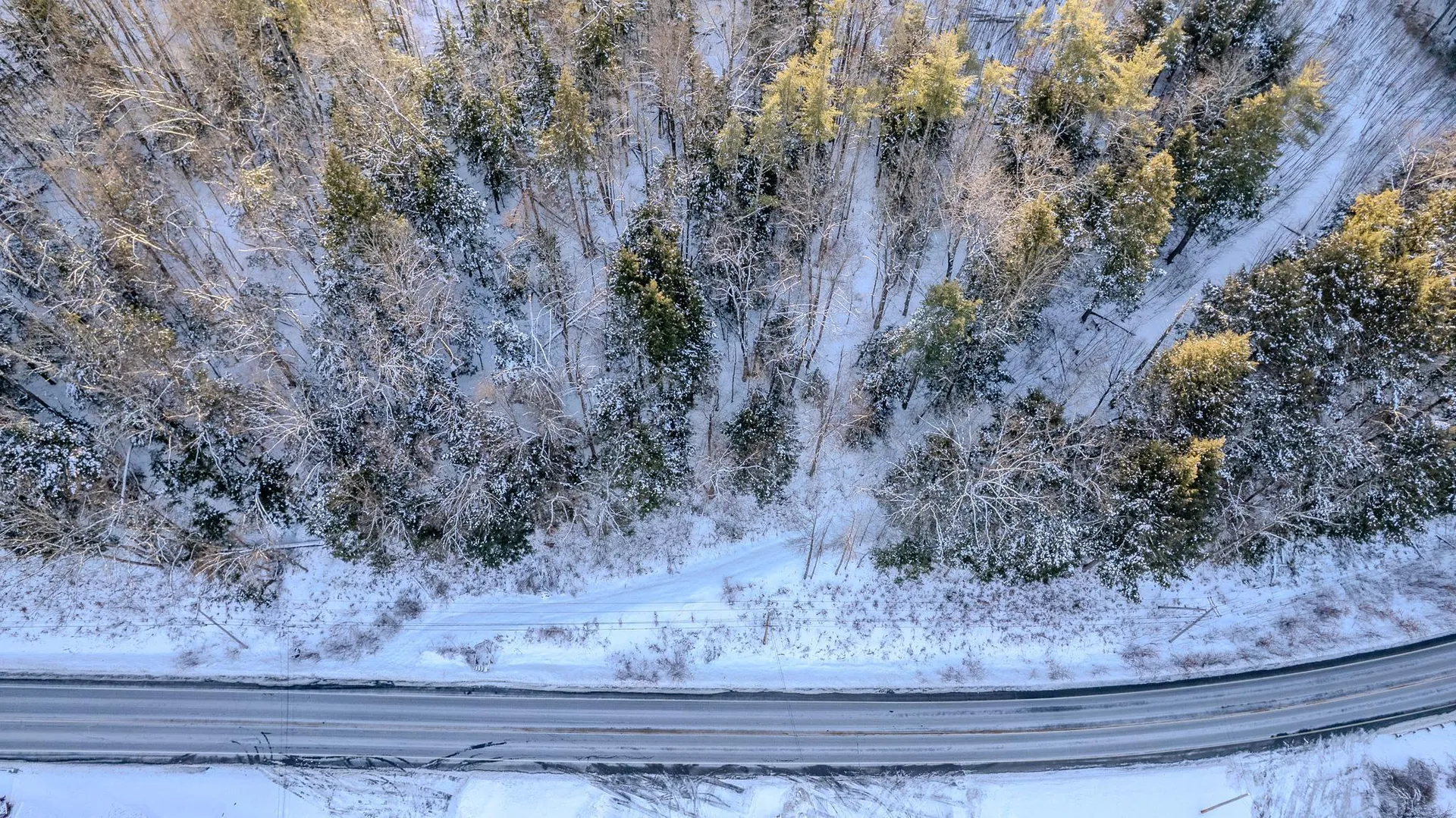 00 Route 123 Alstead NH 03602