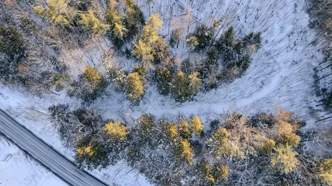 00 Route 123 Alstead NH 03602