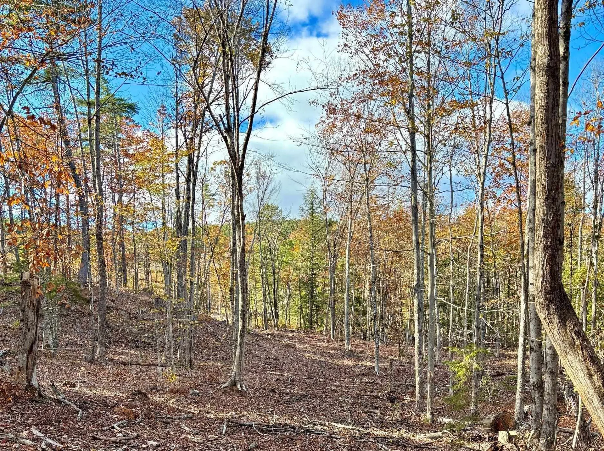 222-3 Fisher Road Deering NH 03244