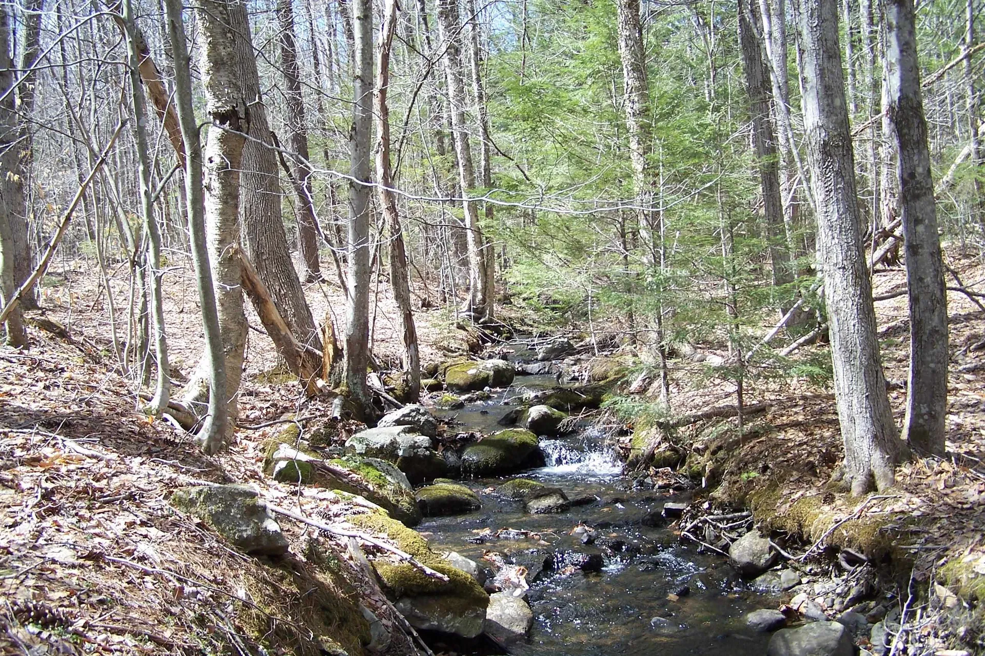 222-3 Fisher Road Deering NH 03244