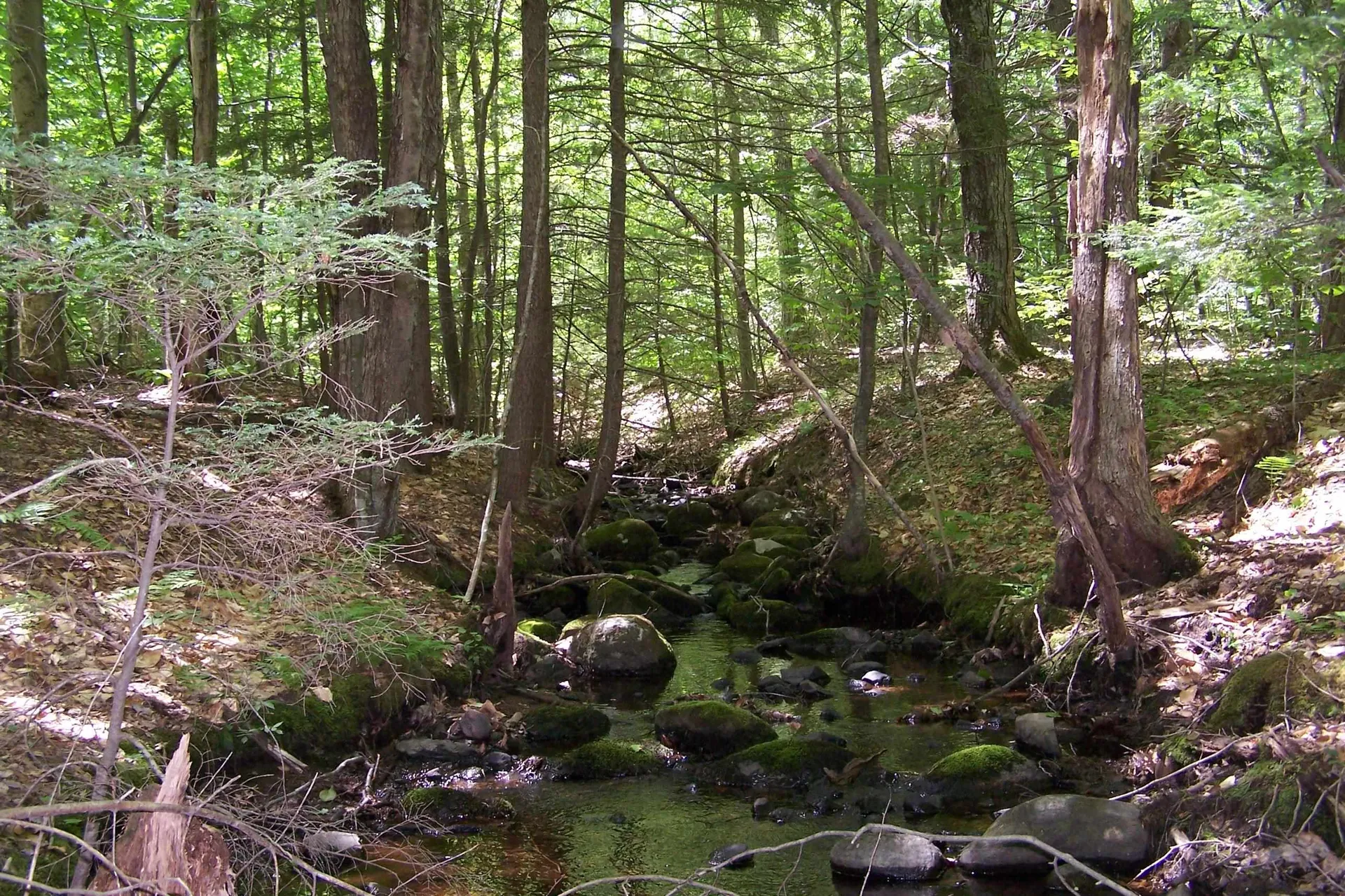 222-3 Fisher Road Deering NH 03244