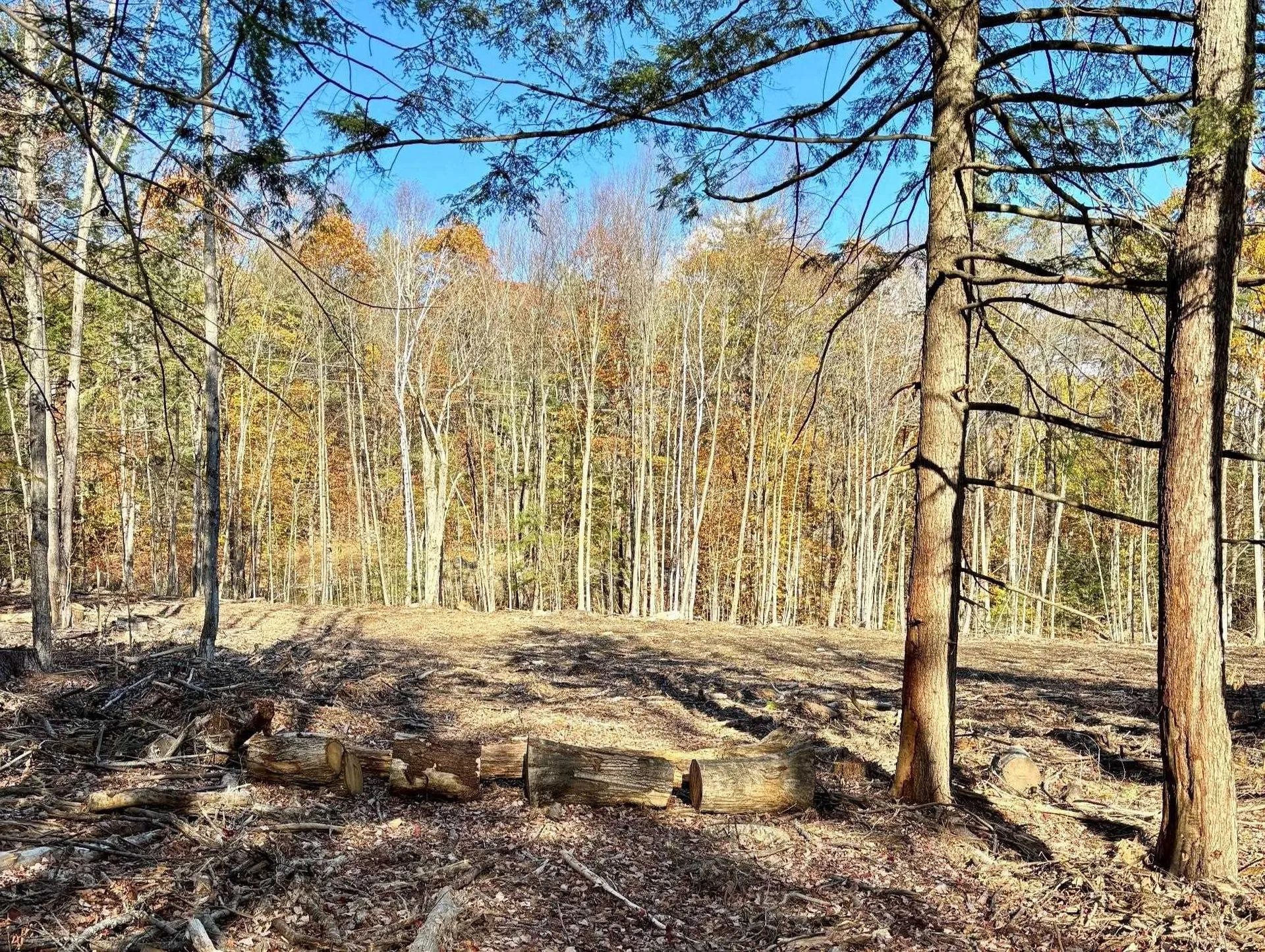 222-3 Fisher Road Deering NH 03244