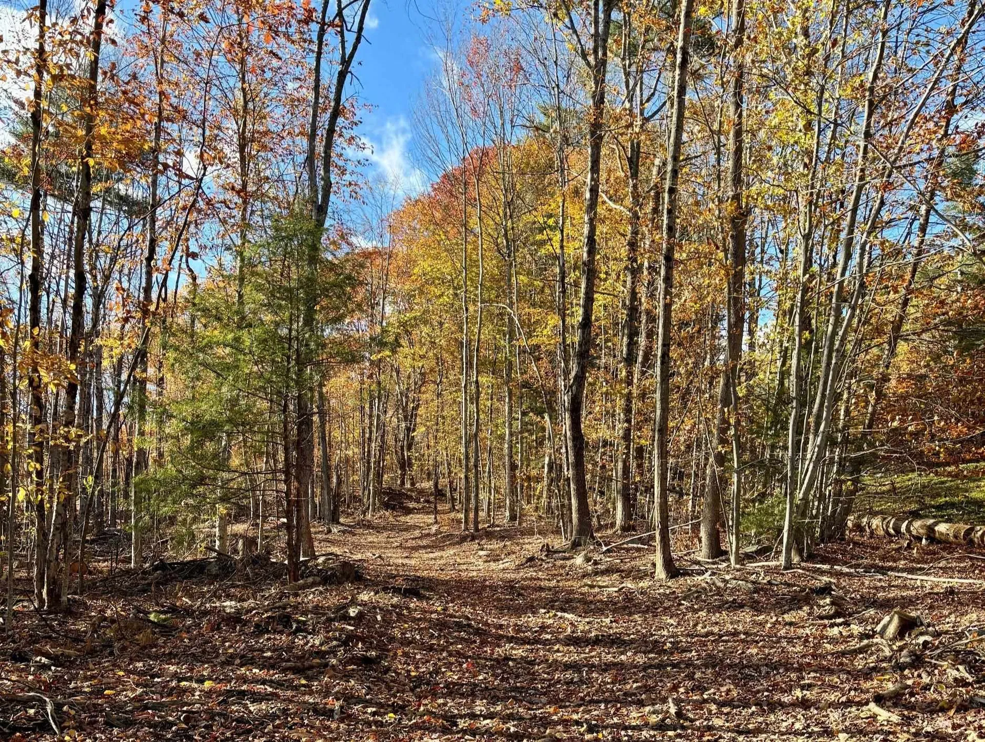 222-3 Fisher Road Deering NH 03244