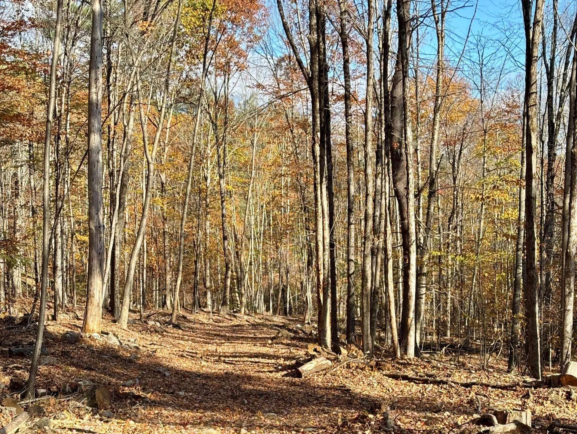 222-3 Fisher Road Deering NH 03244