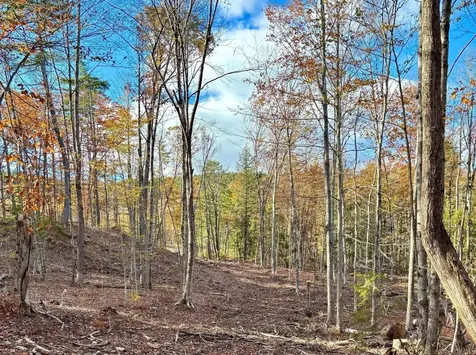 222-3 Fisher Road Deering NH 03244