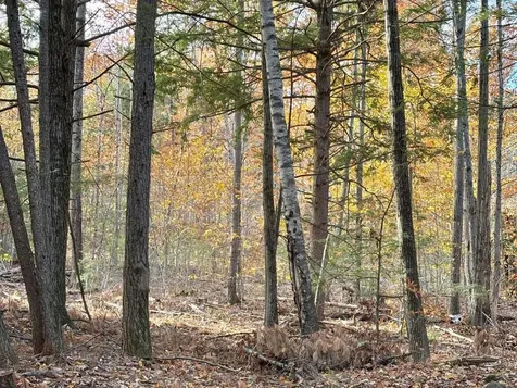 222-3 Fisher Road Deering NH 03244