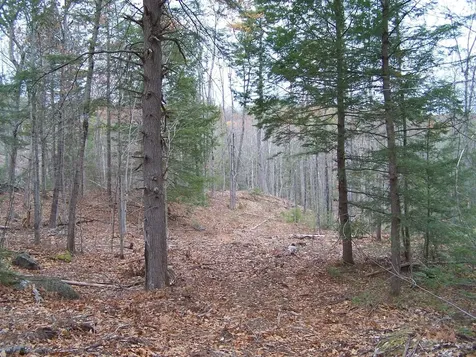 222-3 Fisher Road Deering NH 03244