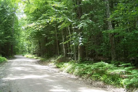 222-3 Fisher Road Deering NH 03244