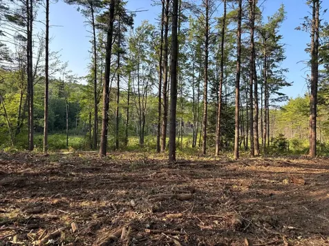 222-3 Fisher Road Deering NH 03244