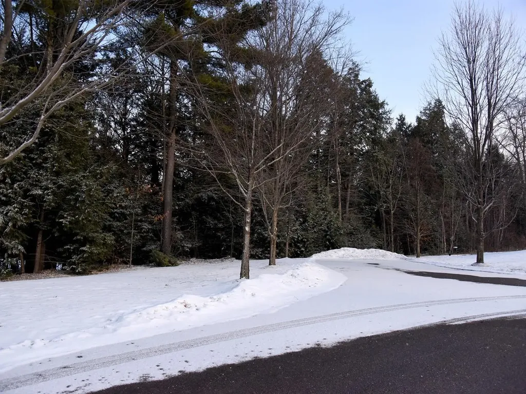 209 Fox Run Colchester VT 05446