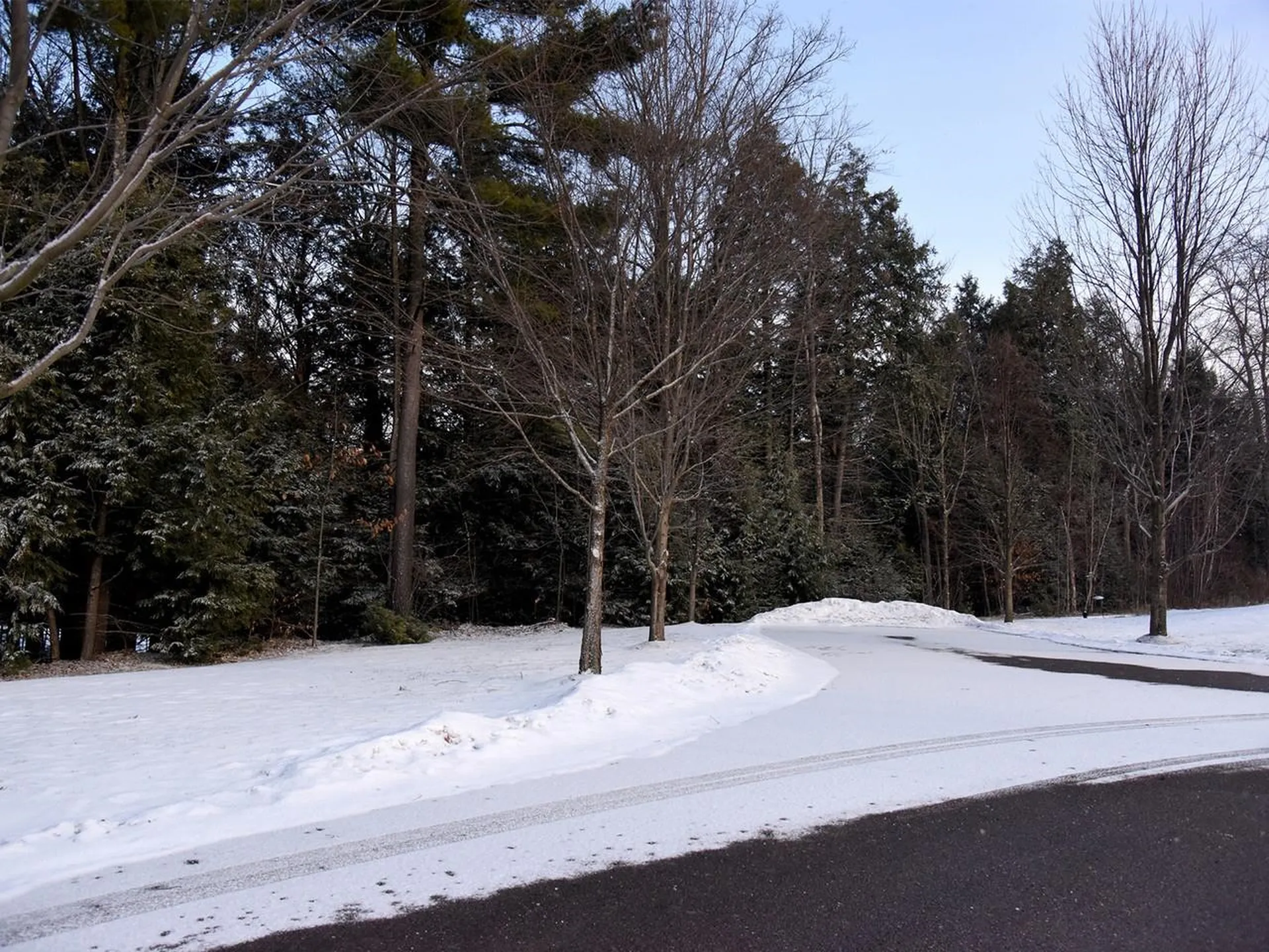 209 Fox Run Colchester VT 05446