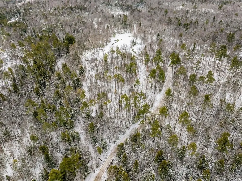 Boys Camp Road Enfield NH 03748