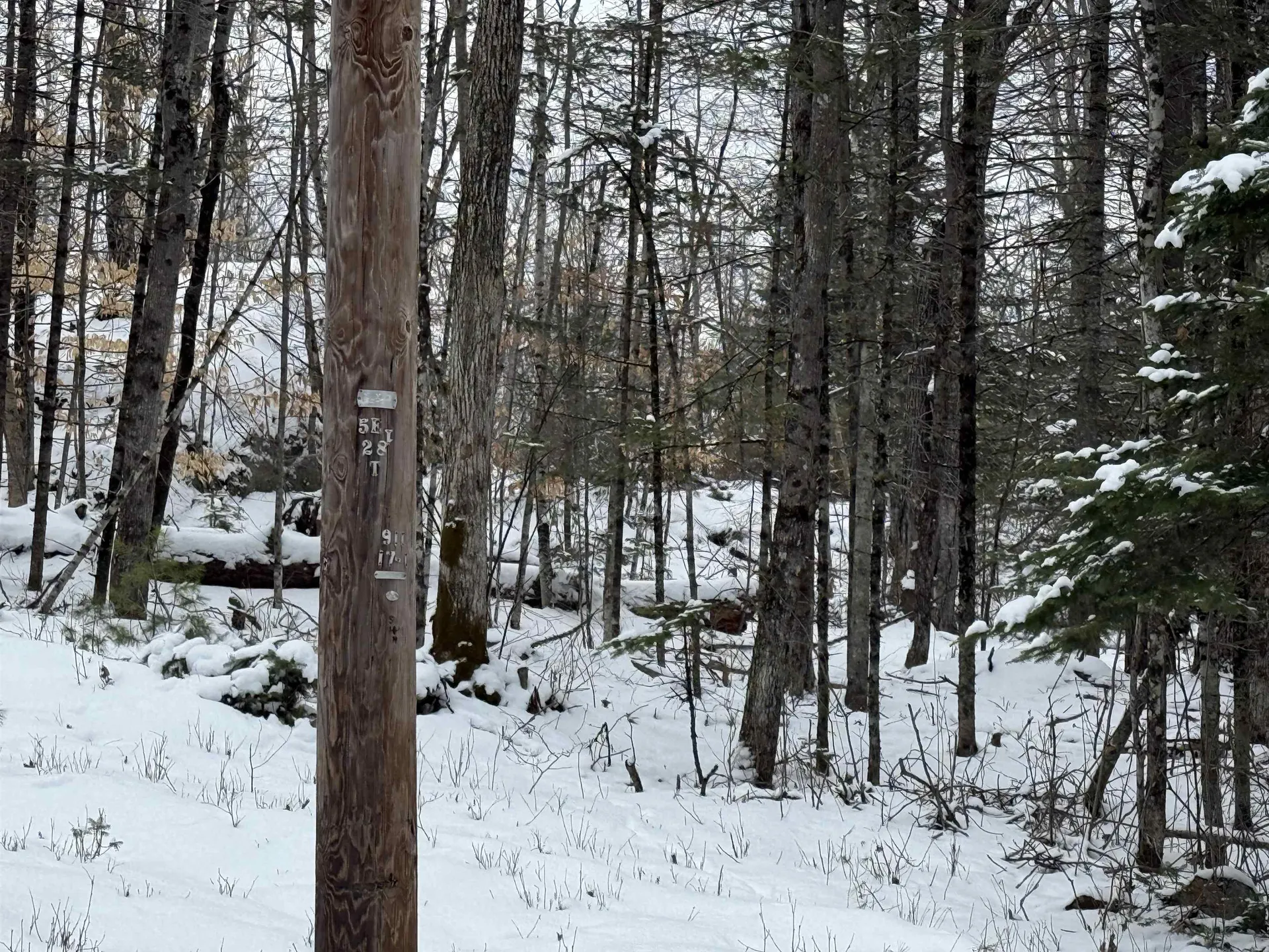 Boys Camp Road Enfield NH 03748