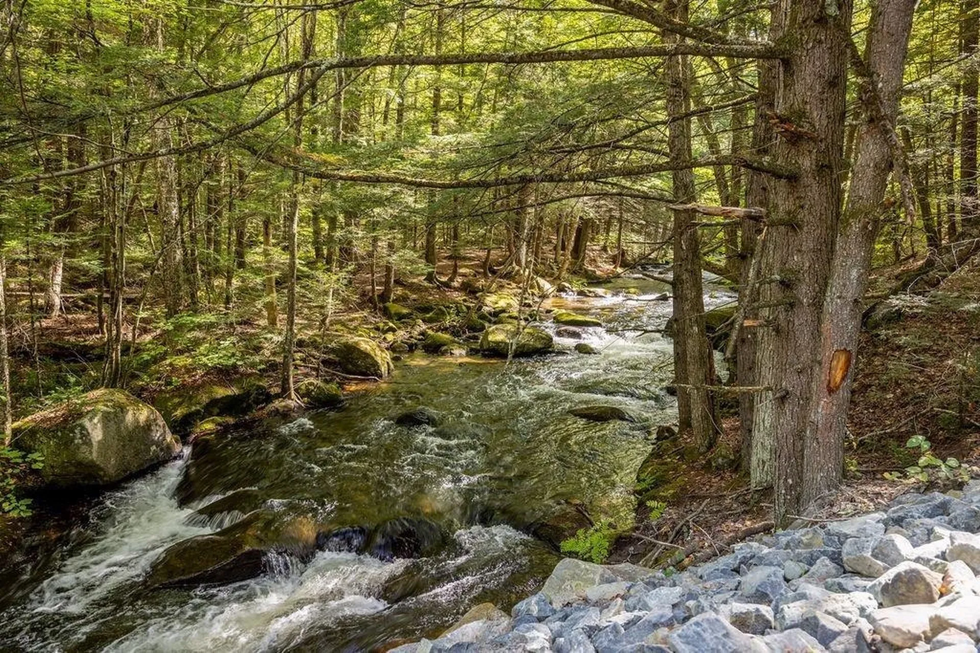 Boys Camp Road Enfield NH 03748