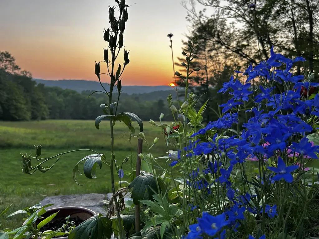 16 Olcott Road Norwich VT 05055