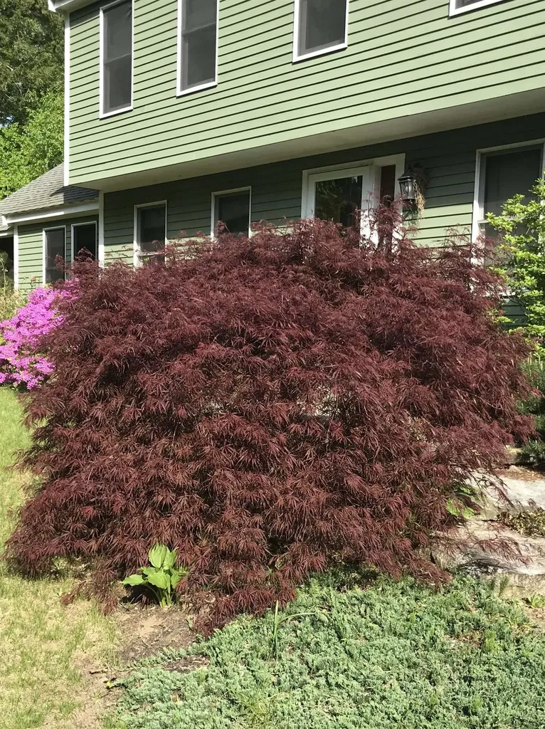 147 Hamwoods Road Alton NH 03809