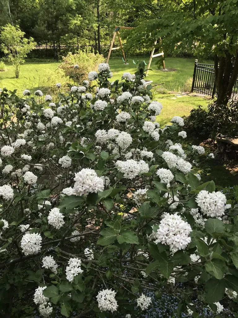 147 Hamwoods Road Alton NH 03809