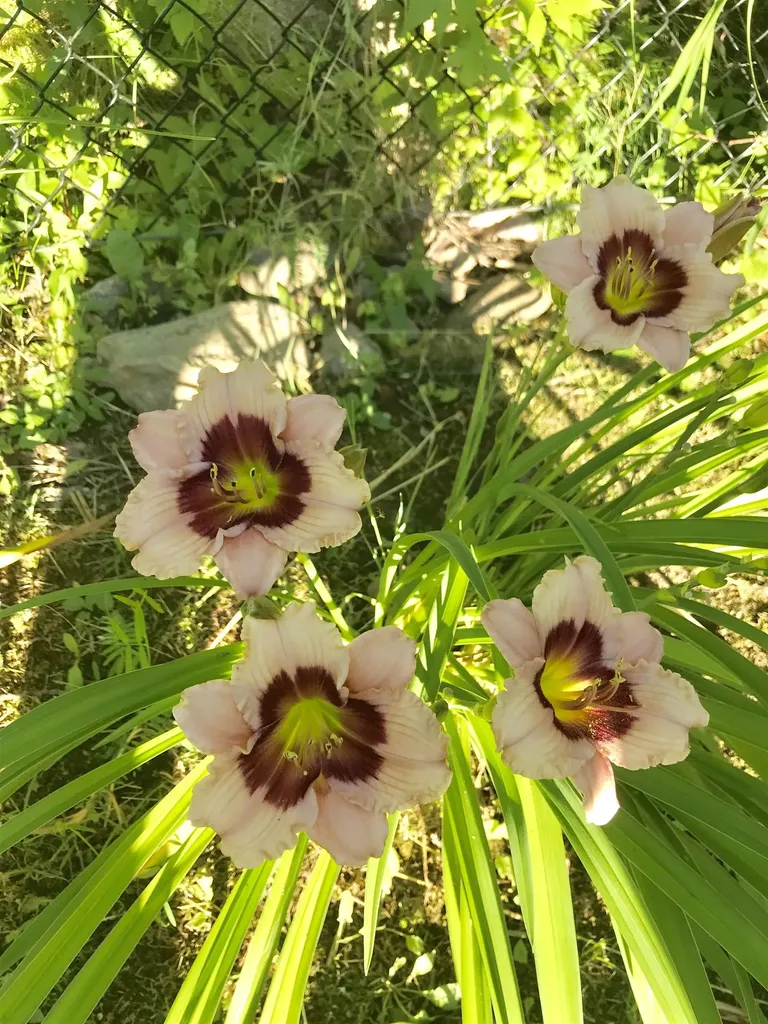 147 Hamwoods Road Alton NH 03809