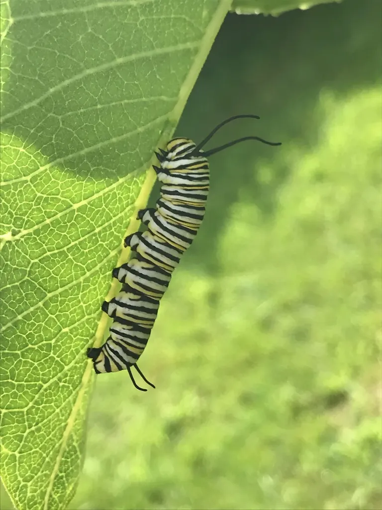 147 Hamwoods Road Alton NH 03809