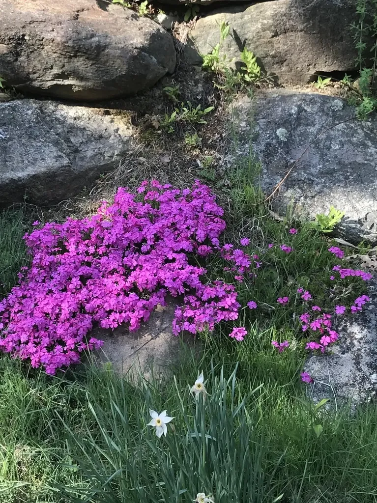 147 Hamwoods Road Alton NH 03809