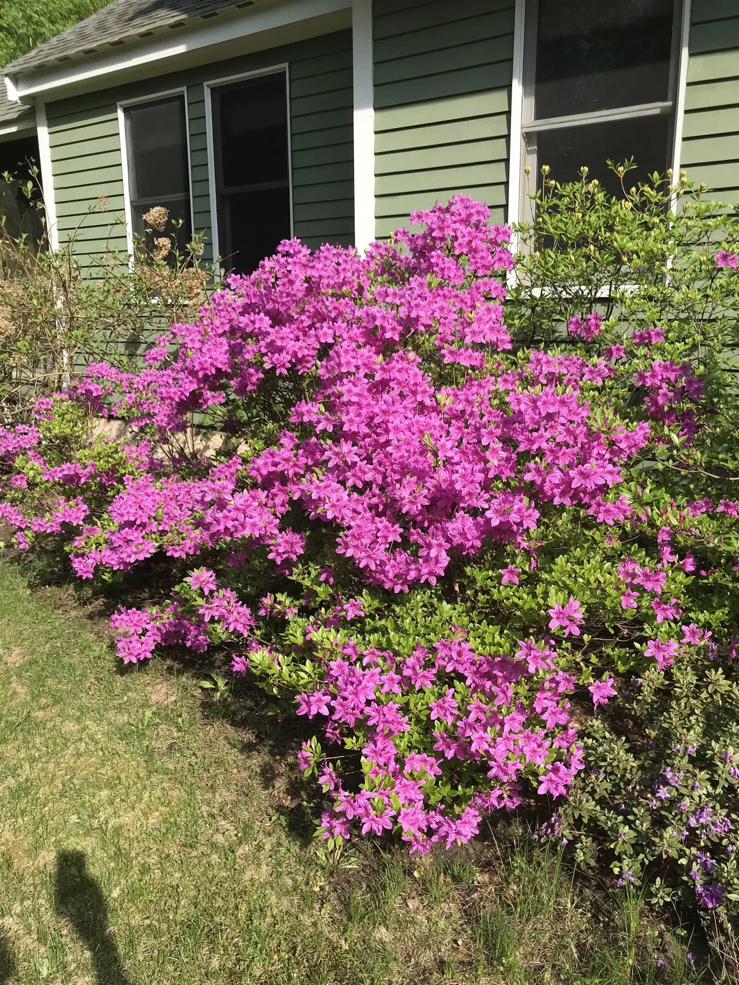 147 Hamwoods Road Alton NH 03809