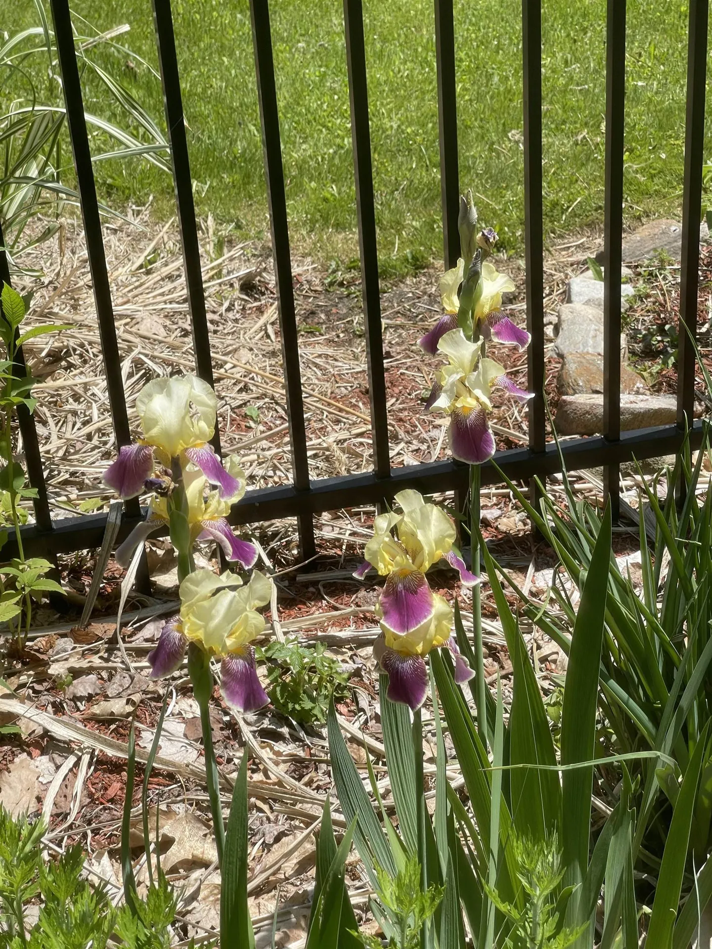 147 Hamwoods Road Alton NH 03809