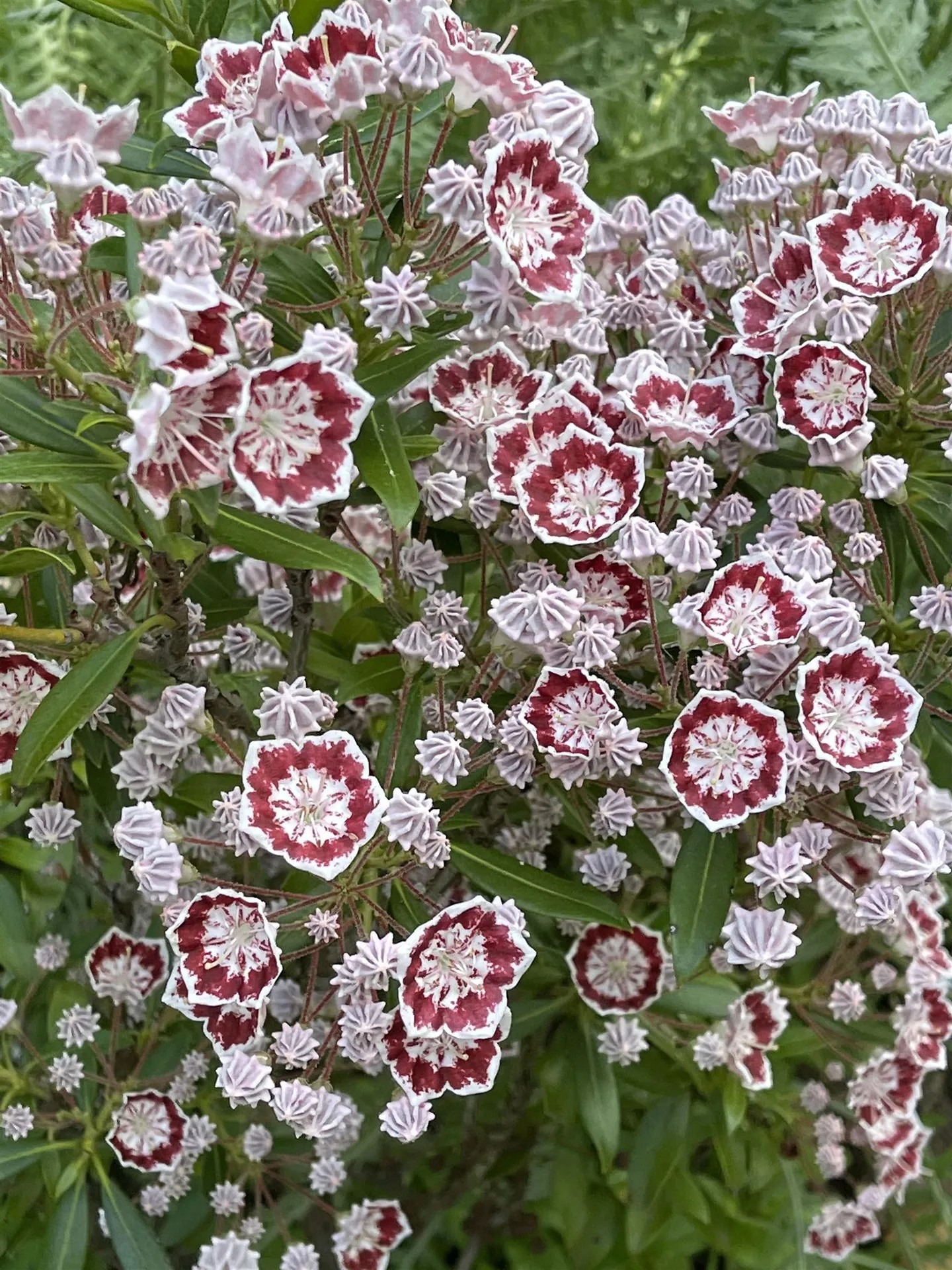 147 Hamwoods Road Alton NH 03809