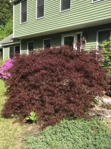 147 Hamwoods Road Alton NH 03809