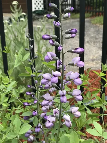 147 Hamwoods Road Alton NH 03809