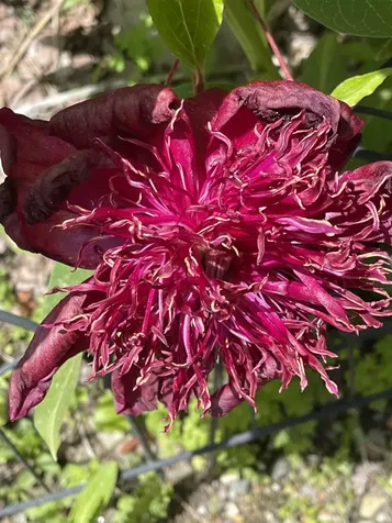 147 Hamwoods Road Alton NH 03809