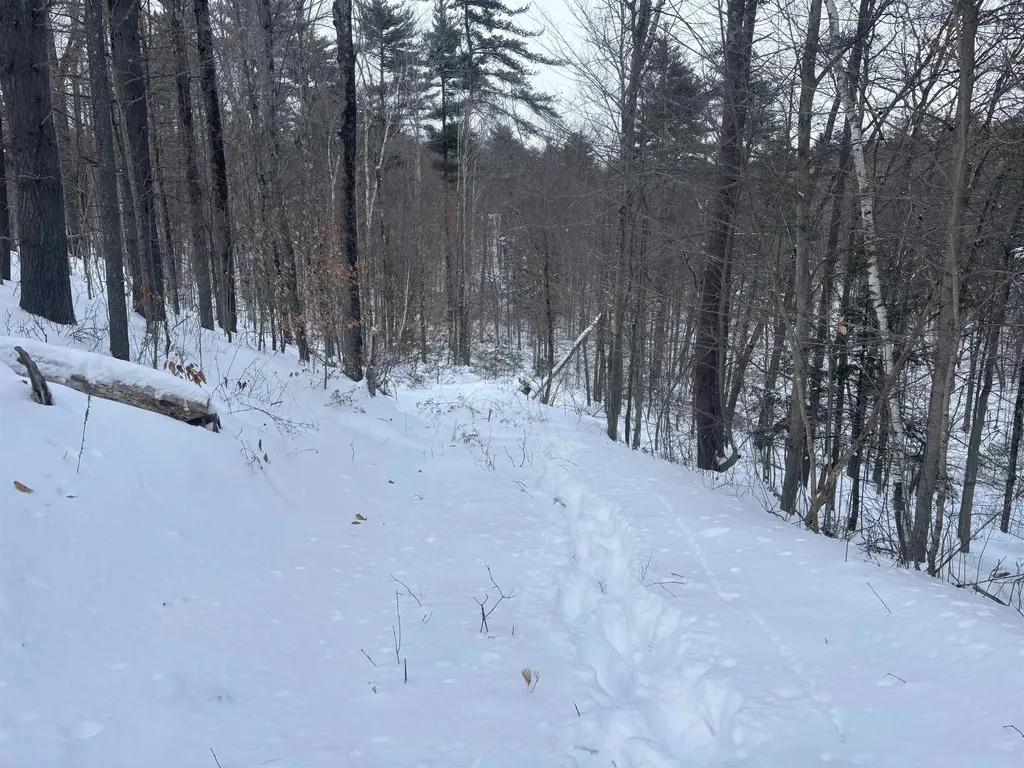 004 Pine Hill Road Wolfeboro NH 03894