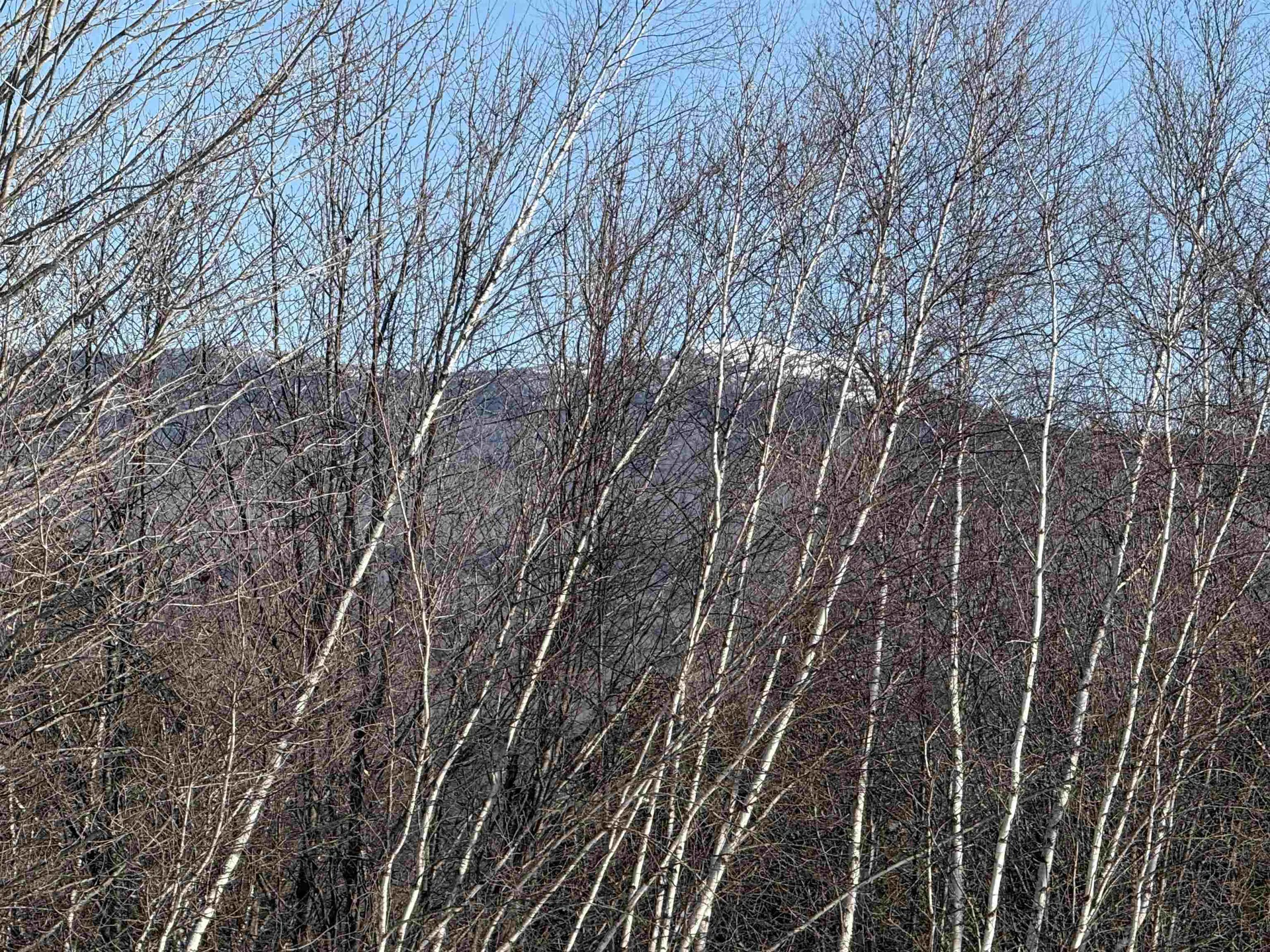 21 Highland Avenue Canaan NH 03741