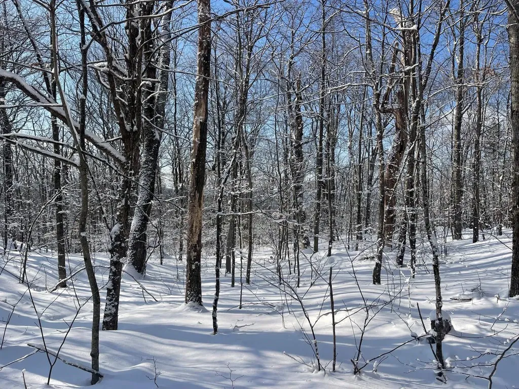 0 Earls Lane Lempster NH 03605