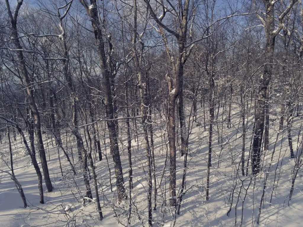 0 Earls Lane Lempster NH 03605