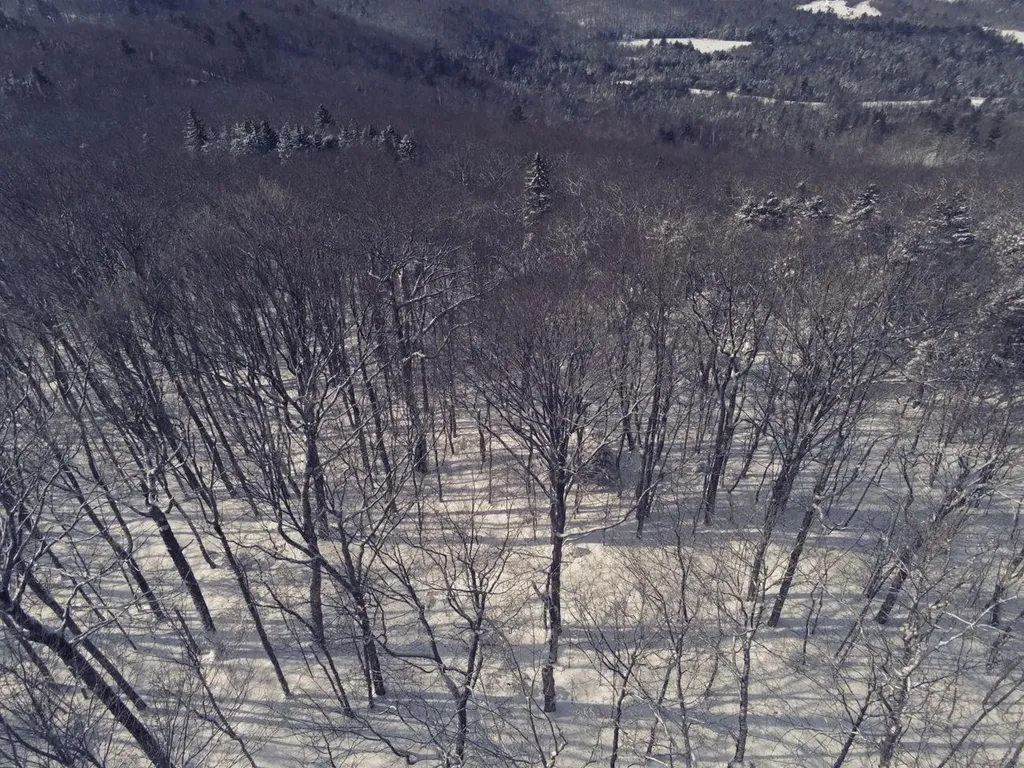 0 Earls Lane Lempster NH 03605