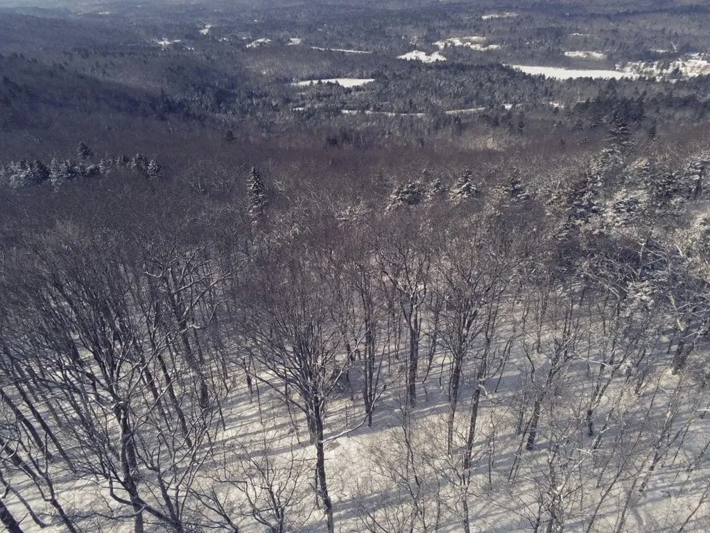 0 Earls Lane Lempster NH 03605