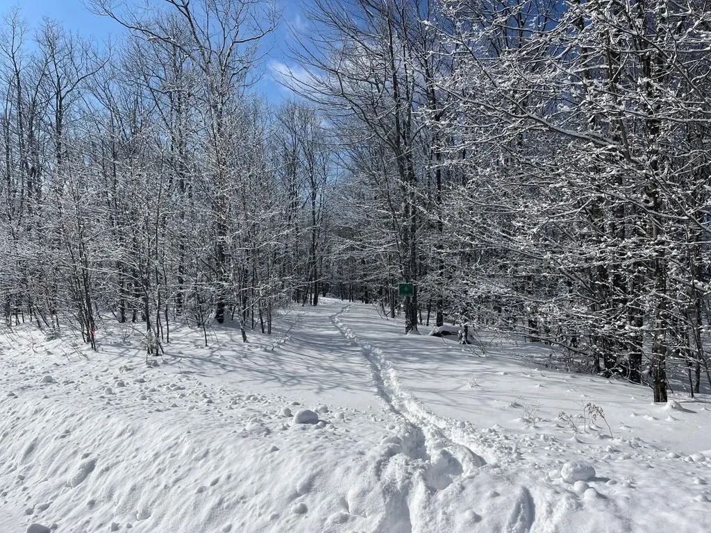 0 Earls Lane Lempster NH 03605