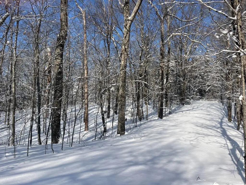 0 Earls Lane Lempster NH 03605