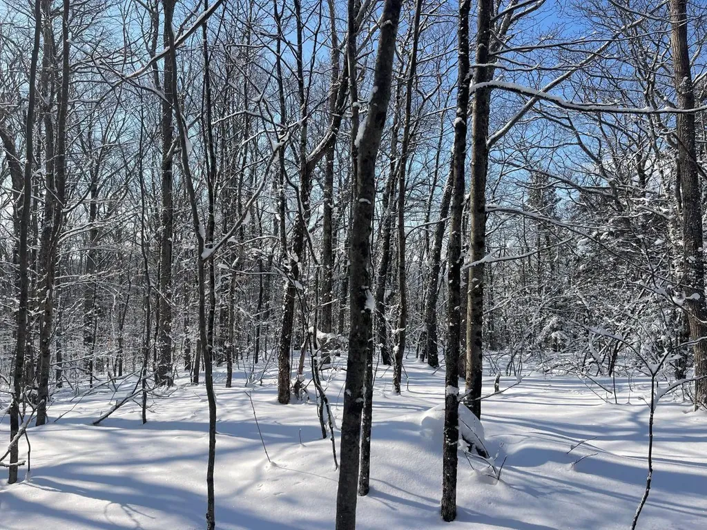 0 Earls Lane Lempster NH 03605