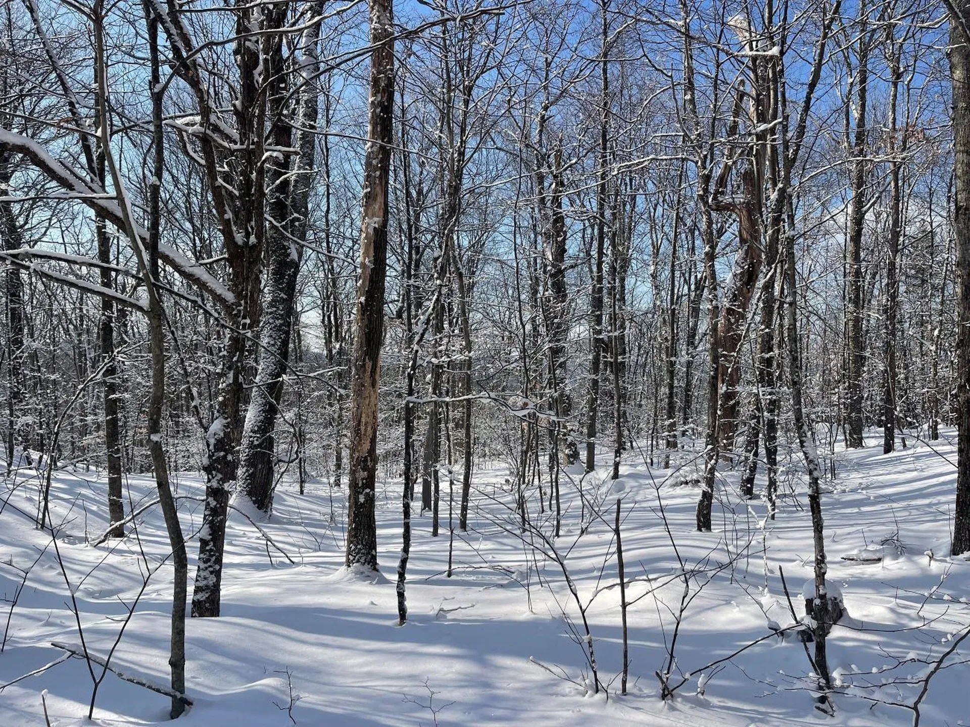 0 Earls Lane Lempster NH 03605