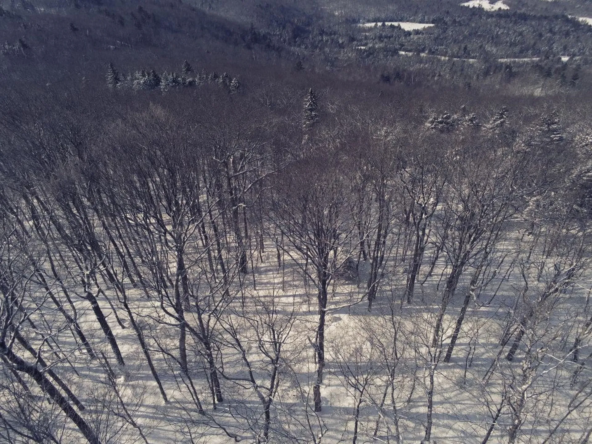 0 Earls Lane Lempster NH 03605