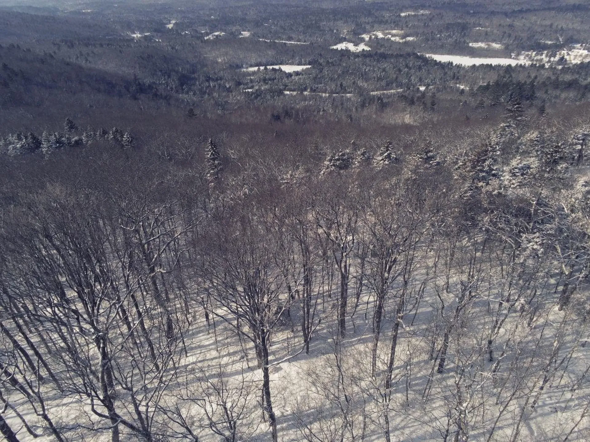 0 Earls Lane Lempster NH 03605